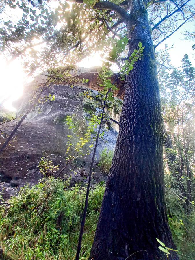 Forest Lane Clarens Bagian luar foto