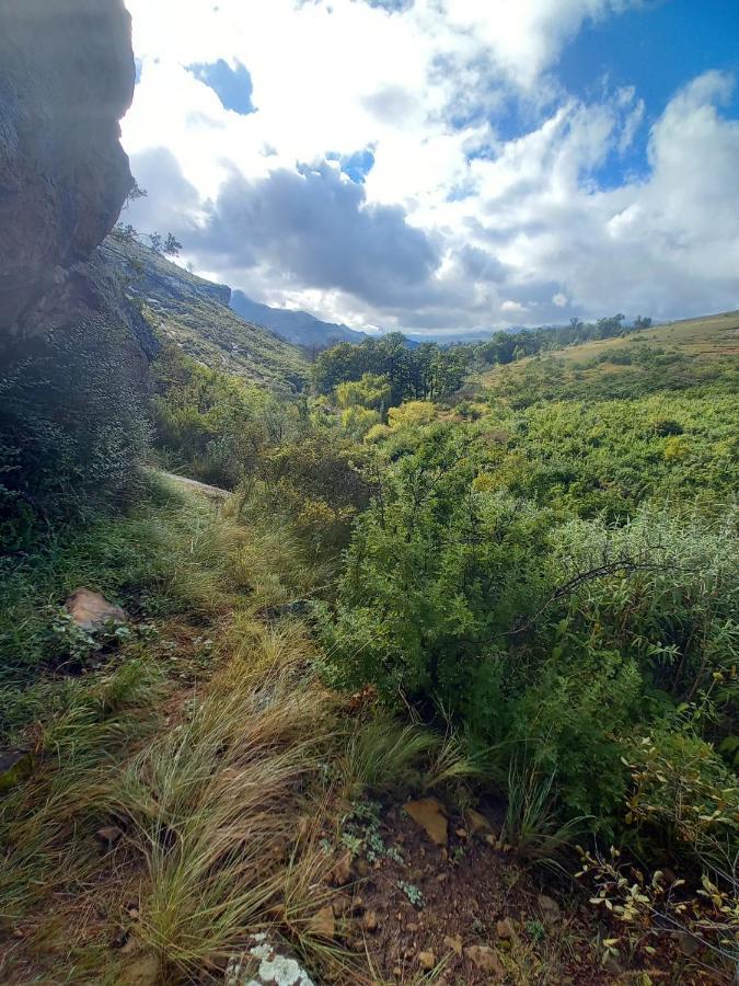 Forest Lane Clarens Bagian luar foto