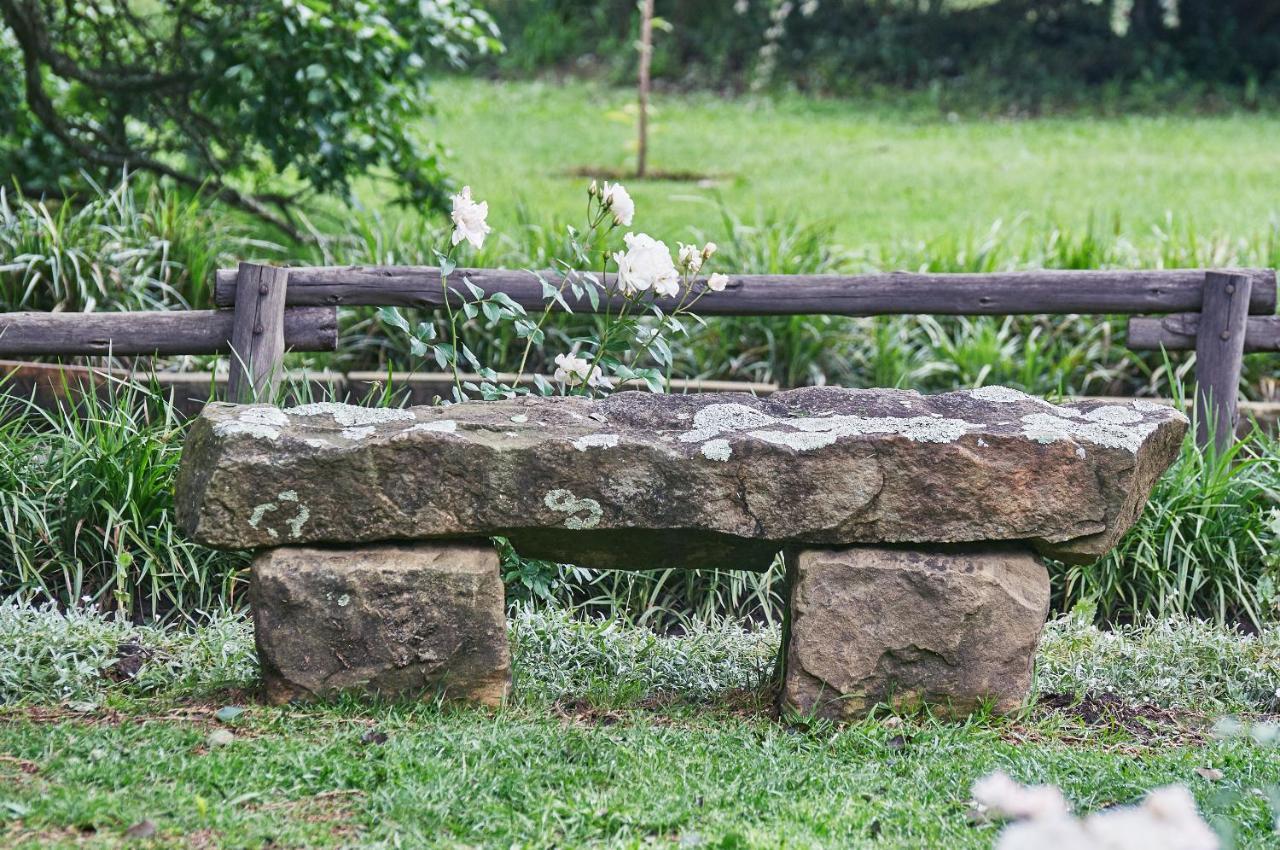 Forest Lane Clarens Bagian luar foto